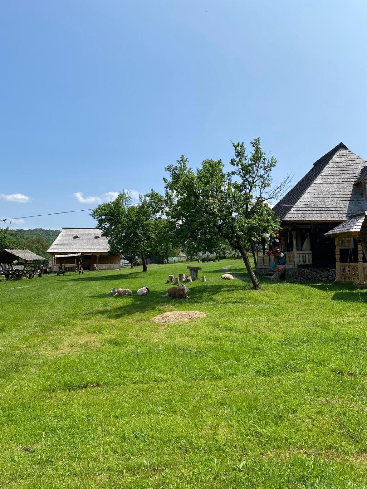 Appartamento Casuta Din Gradina Breb Esterno foto
